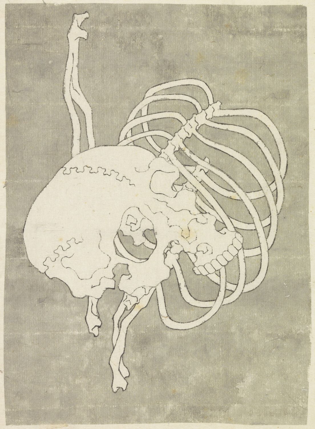 Vintage illustration of a human skull and rib cage against a textured green background.
