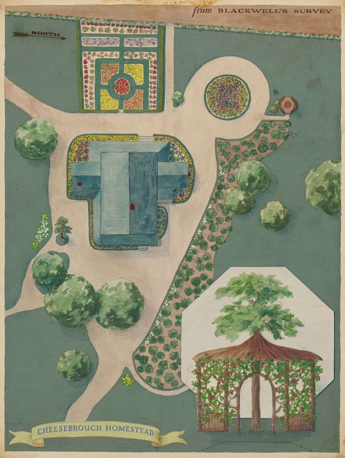 Vintage illustration of a garden layout labeled 'Cheesebrough Homestead' and 'from Blackwell's Survey'.