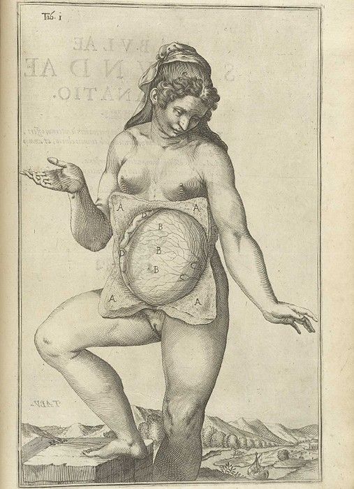 Vintage anatomical illustration of a pregnant woman with an oval shape drawn over her abdomen, filled with letters and lines.