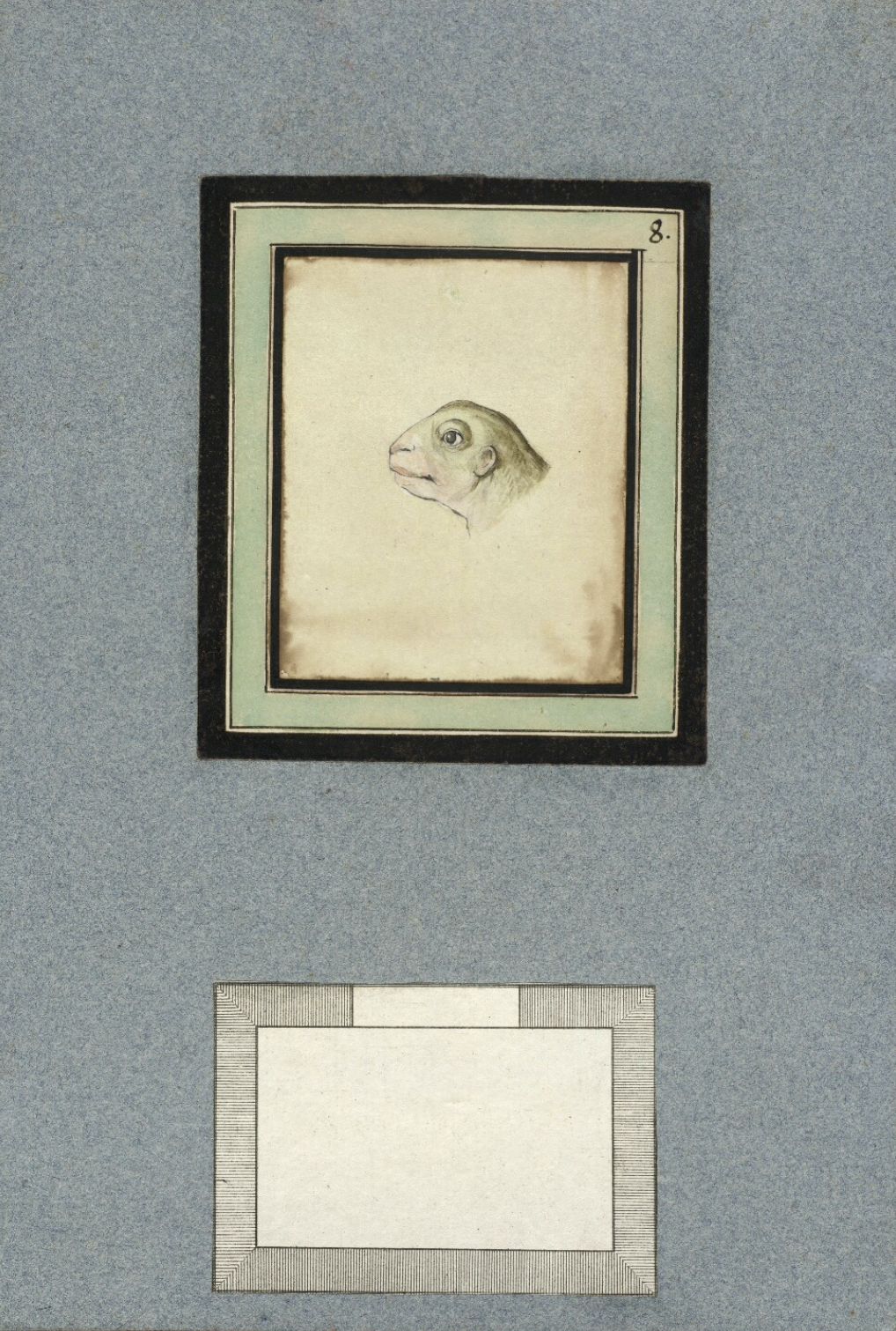 Vintage illustration of a bird head in a series of nested frames, with a blank framed rectangle below.