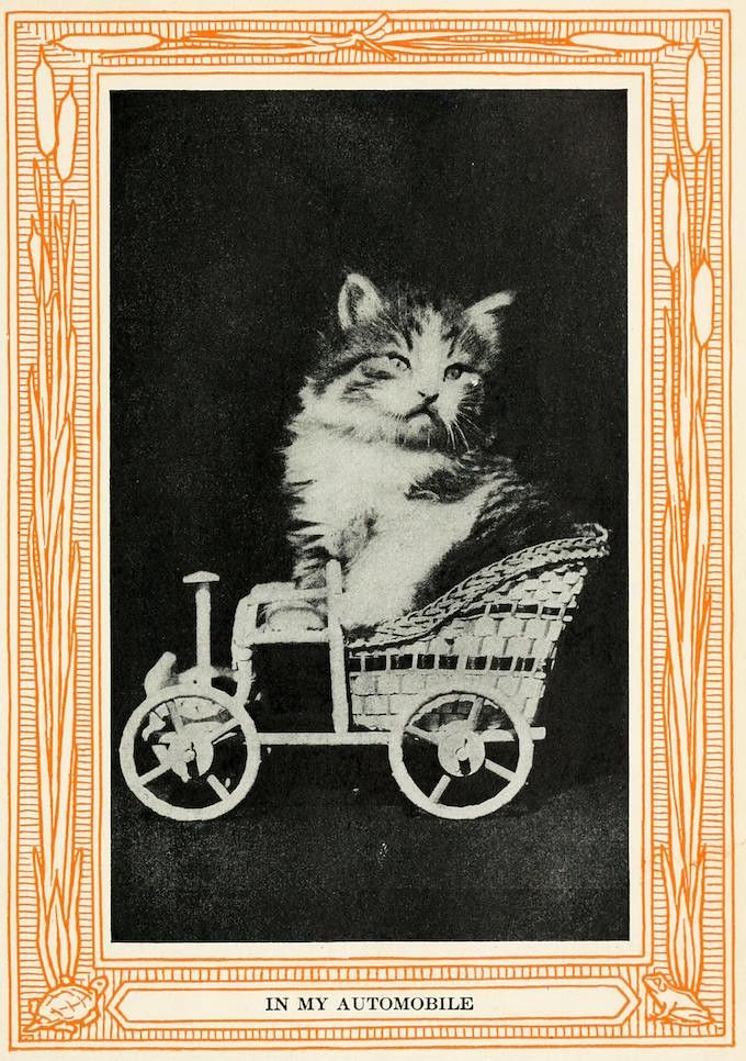 A vintage illustration of a fluffy kitten driving a miniature antique automobile, framed by an ornate orange border. The text 'IN MY AUTOMOBILE' is printed below the image.