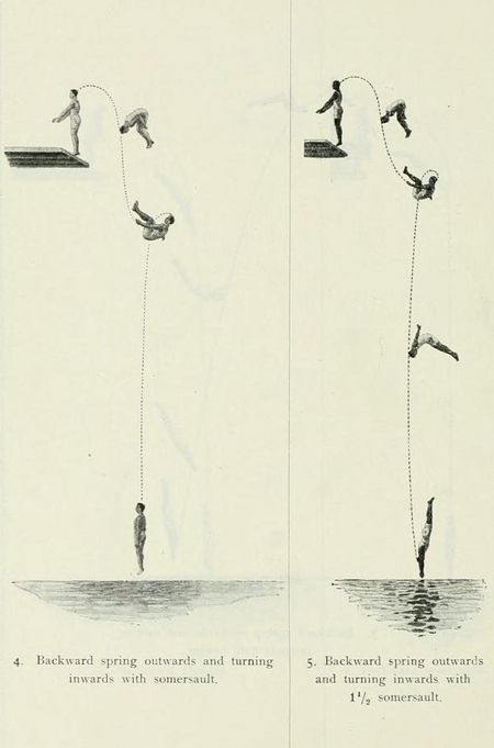 Two panels showing a sequence of a diver performing a backward spring outwards and turning inwards with a somersault.