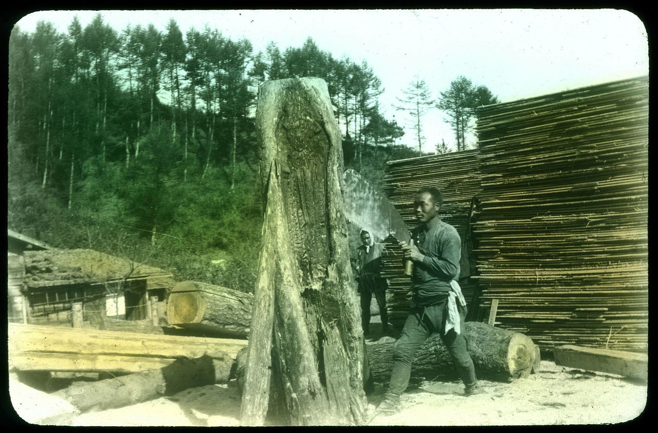 Vintage photograph of a lumberjack working on a tree trunk in a lumber camp, surrounded by logs and a forest.
