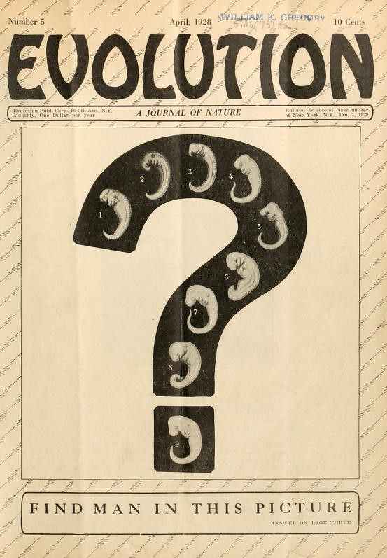 Vintage magazine cover for "Evolution" featuring a question mark filled with evolving human figures.