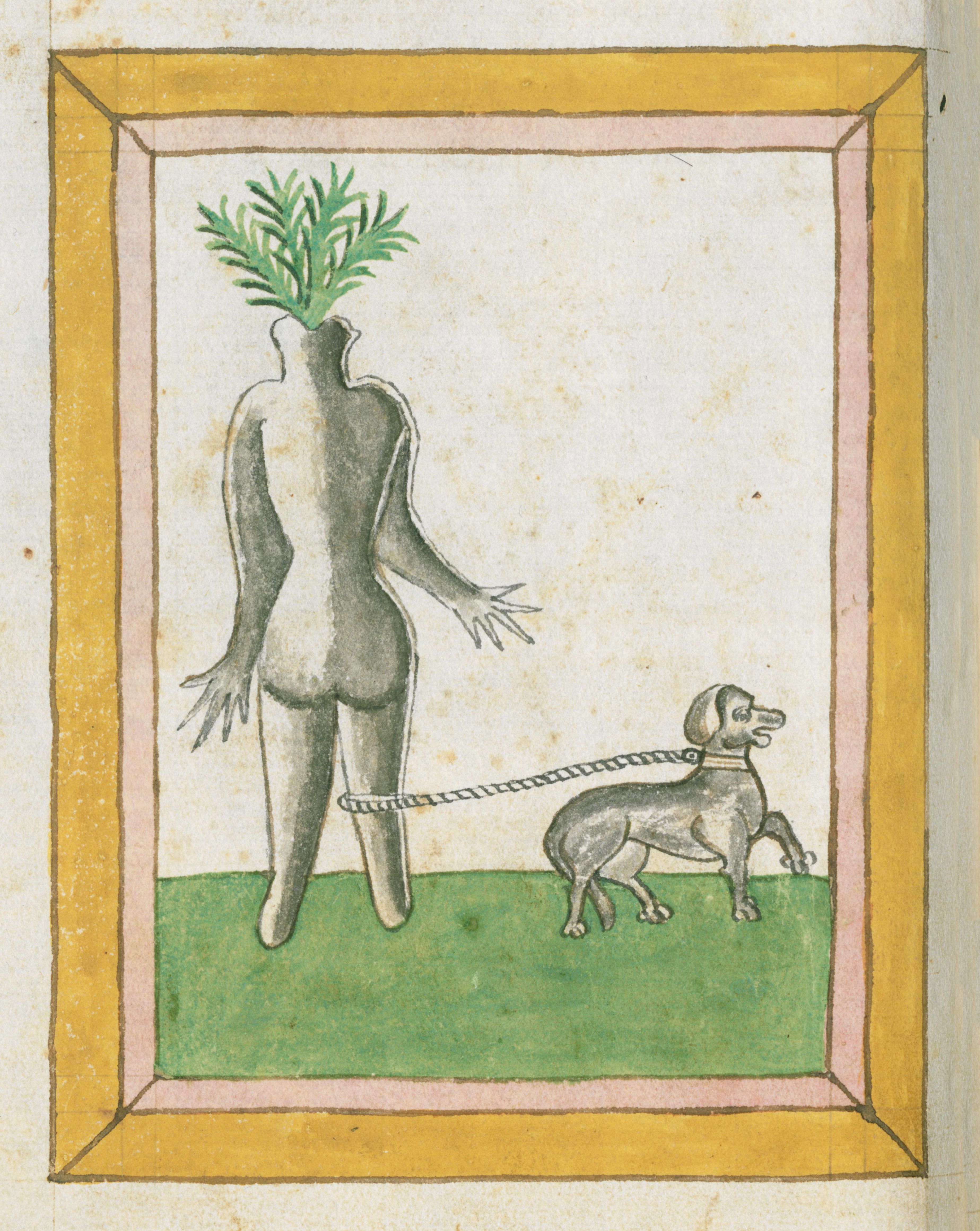 A medieval-style illustration of a humanoid figure with foliage for a head, leashed to a dog, set against a green ground and framed by yellow and reddish-brown borders.