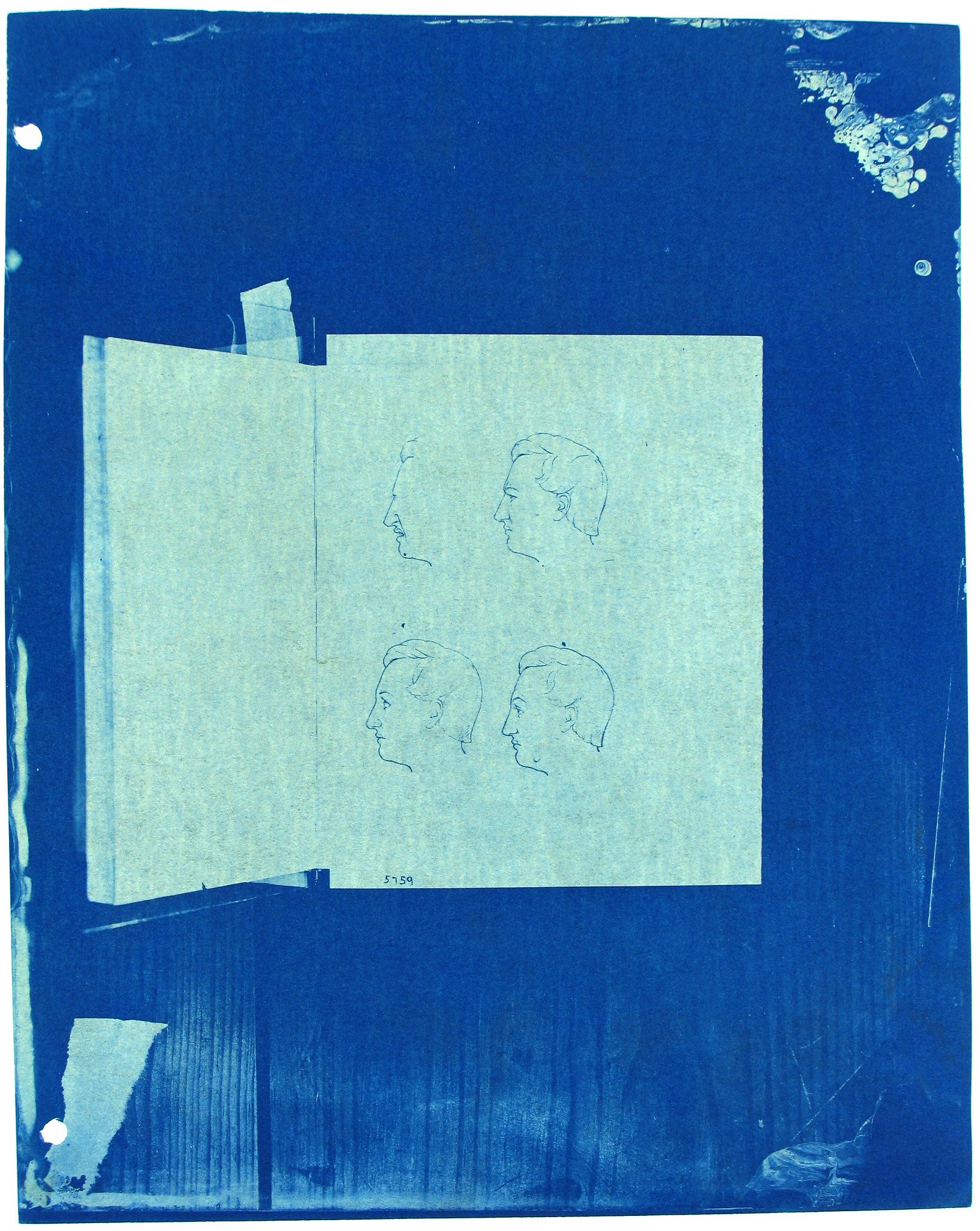 A cyanotype photograph of a sheet of paper with four pencil sketches of male profiles arranged in a 2x2 grid, affixed to a larger sheet of cyanotype paper with tape.