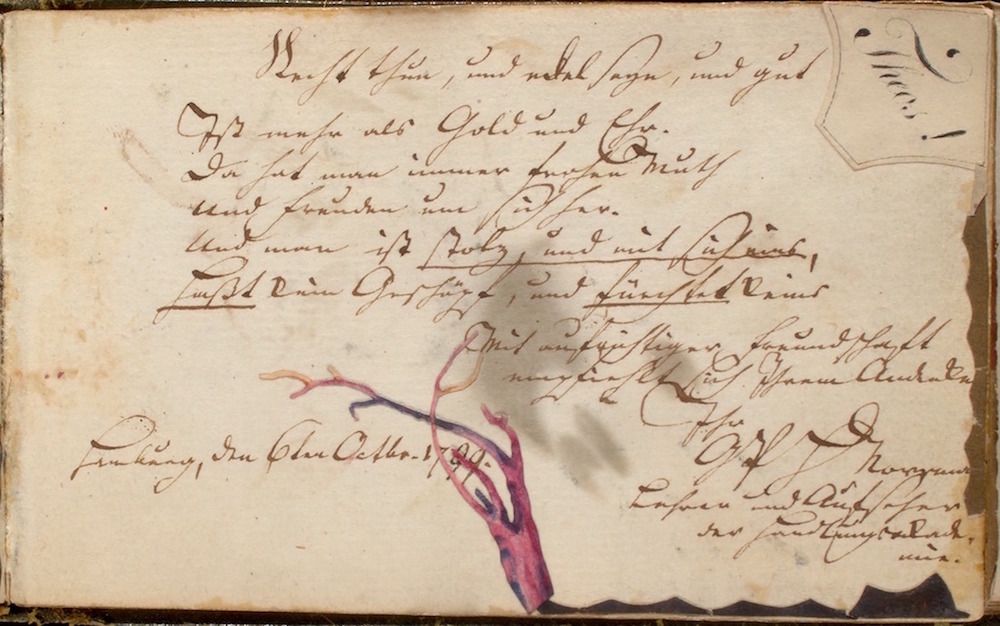 A vintage document with handwritten text and a delicate botanical drawing of a plant stem with leaves in shades of pink and purple.