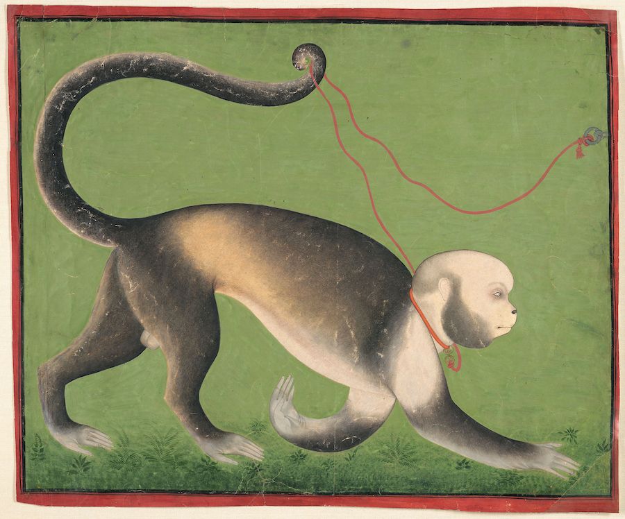 A painting of a monkey with a red rope around its neck, set against a green background with stylized grass.