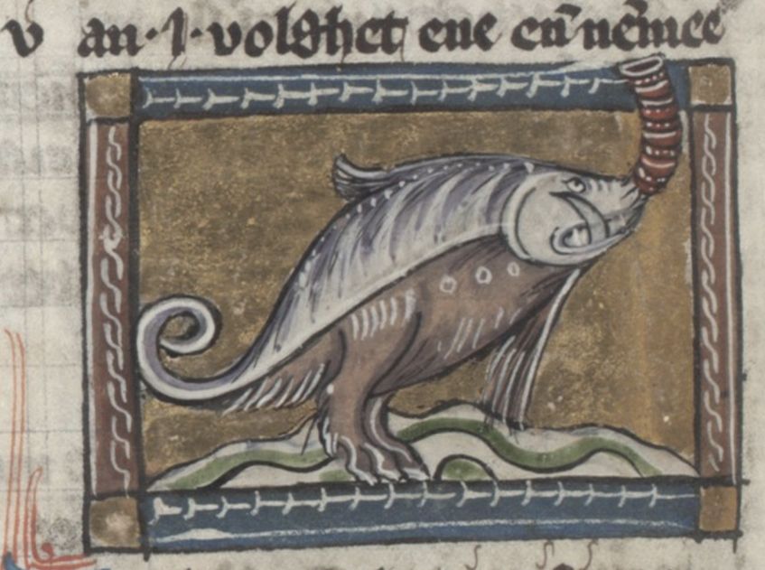 Medieval manuscript illustration of a fantastical fish-like sea creature with a horn.