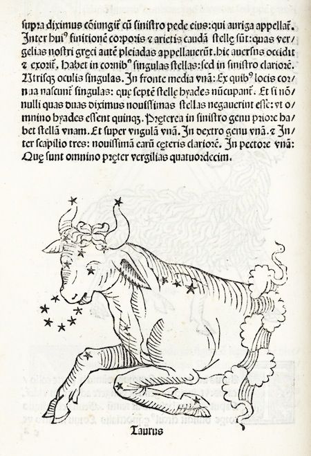 A woodcut illustration of the constellation Taurus, depicting a bull adorned with stars.