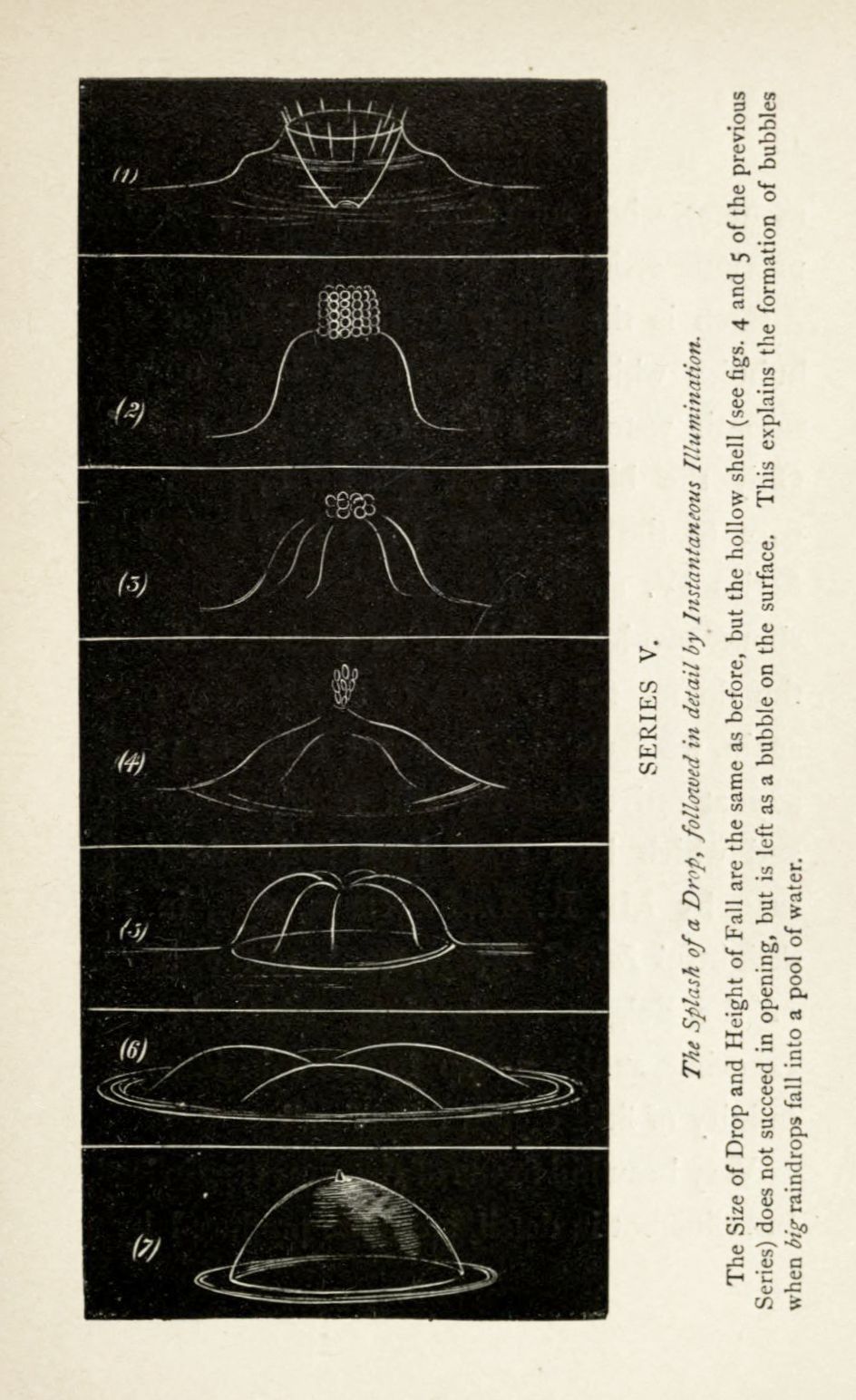 Vintage scientific illustration of a water drop impacting a surface, showing the stages of splash formation.