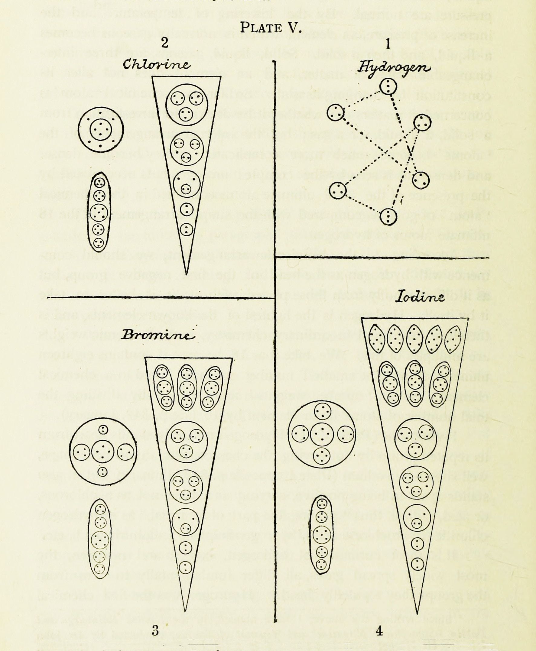 A vintage scientific diagram illustrating the molecular structures of Hydrogen, Chlorine, Bromine, and Iodine.