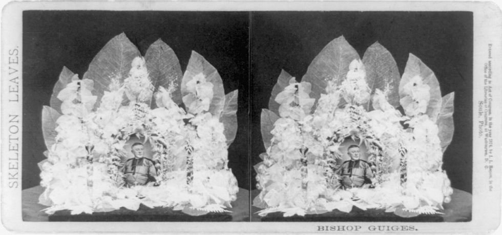 Stereoscopic photograph of Bishop Guiges in front of an arrangement of skeleton leaves.