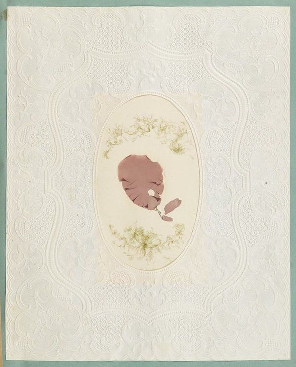 A vintage paper with an embossed pattern and a pressed flower arrangement in the center.