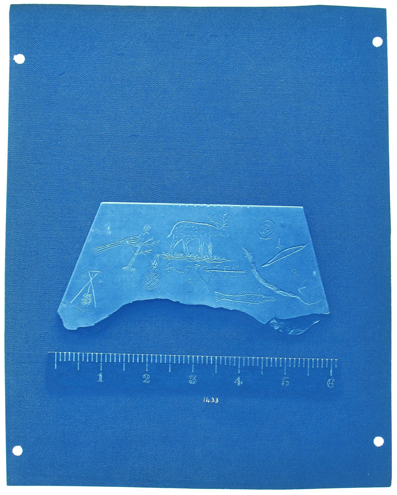 cyanotype photograph of an archaeological fragment with a drawing on it.