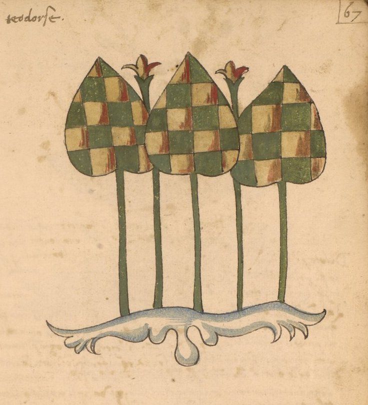 Medieval illustration of three checkerboard-patterned trees with wavy blue roots on aged parchment.
