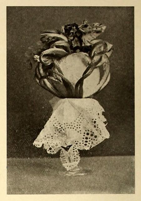 A vintage black and white photograph of a flower arrangement in a vase.