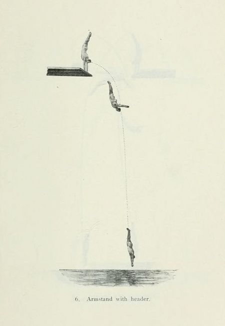 Vintage illustration of a diver performing an armstand with a header.