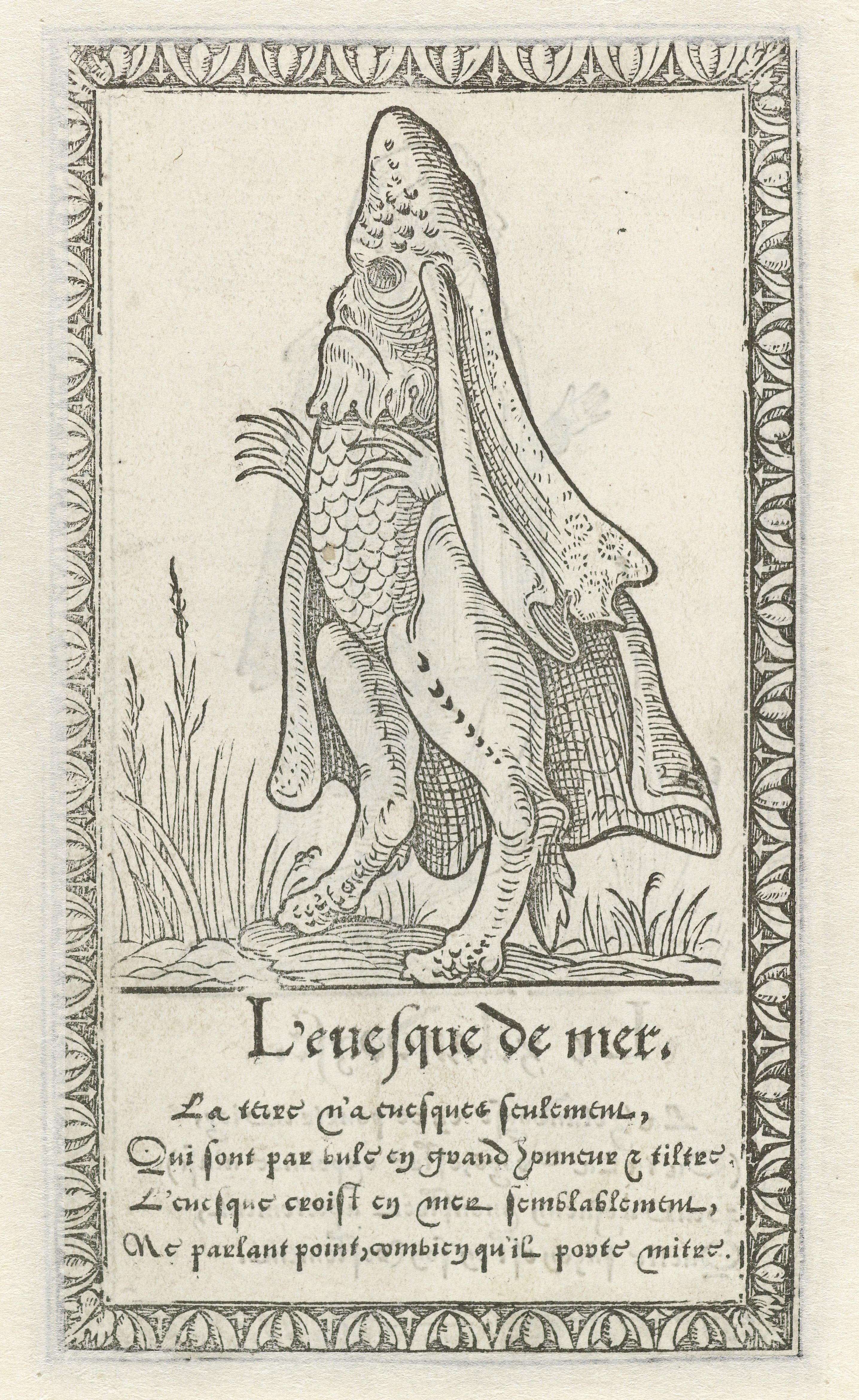 A black and white woodcut illustration of a sea monster emerging from the water, surrounded by grass and framed by a decorative border. Below the illustration is a block of text in an old-fashioned typeface.