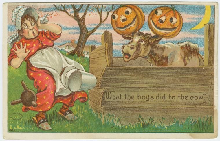 Vintage Halloween postcard illustration of a woman reacting in shock to a cow with jack-o'-lanterns for a head.