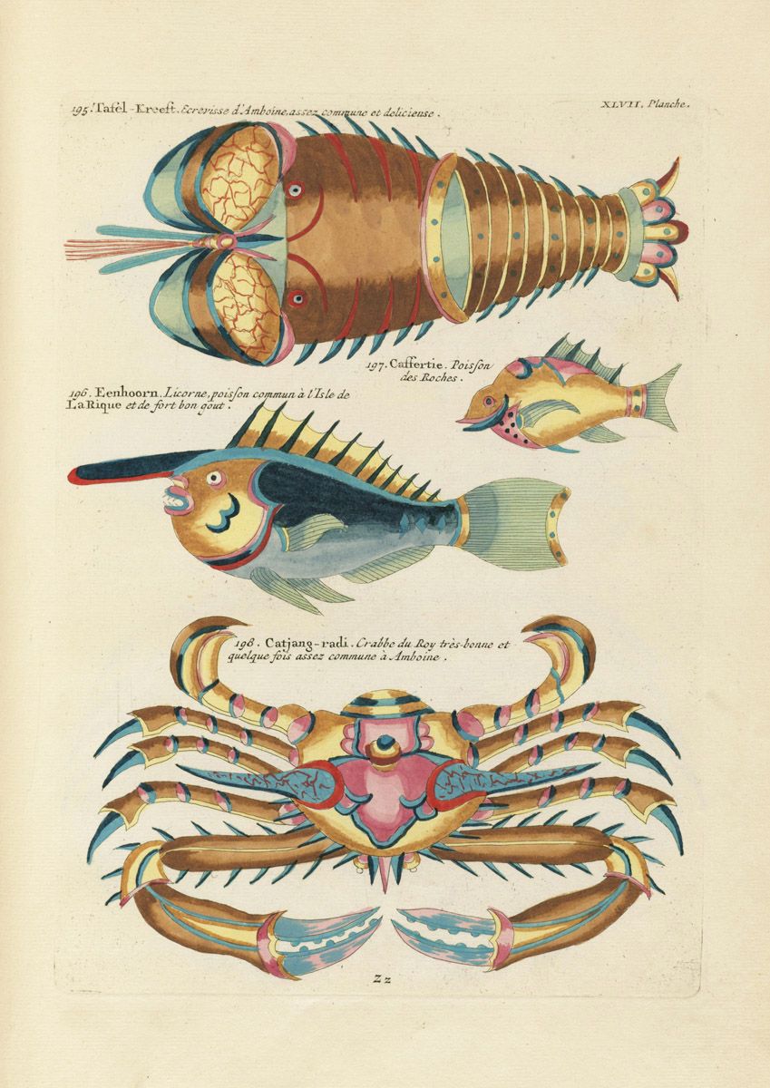 Vintage scientific illustration of three marine creatures: a crustacean, a fish, and a crab, each labeled with a number and a name in French or Dutch.