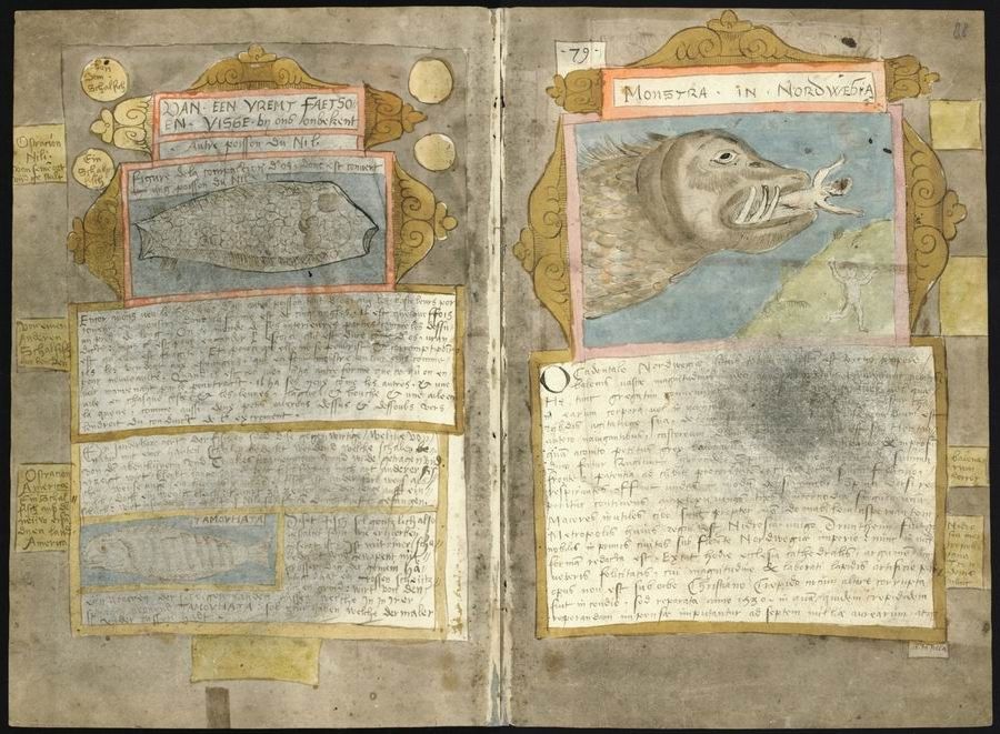 Open page from an old book with illustrations of fish and handwritten text.