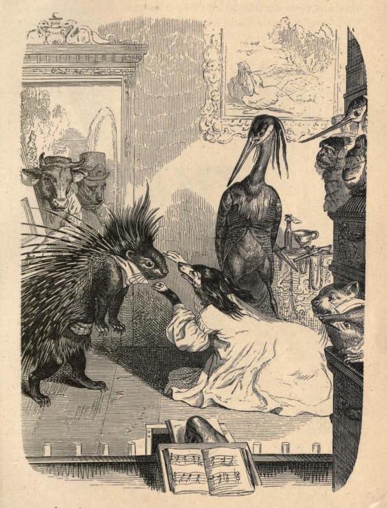 Vintage illustration of a child interacting with a porcupine and other anthropomorphic animals in a library setting.