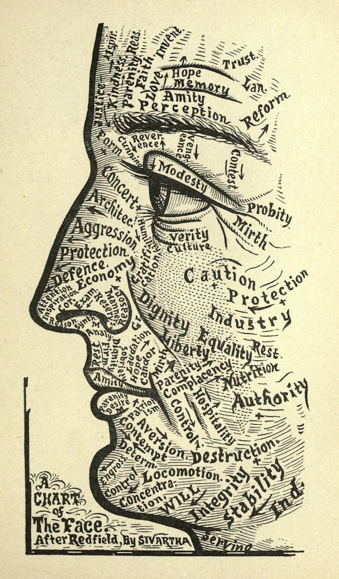 A vintage phrenological chart depicting a profile of a human head filled with words representing different mental faculties.