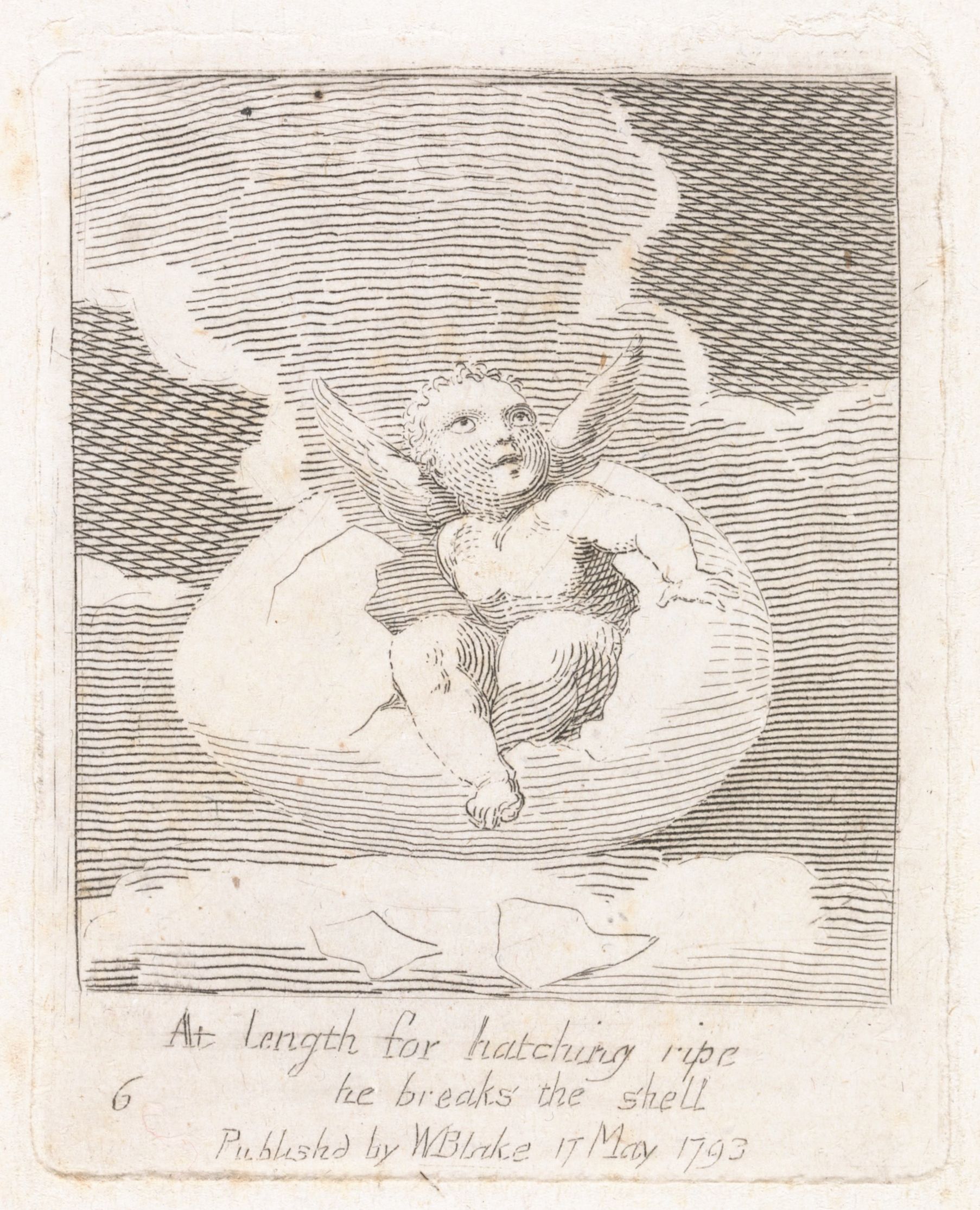 A black and white engraving depicting a small, winged figure emerging from a cracked eggshell, with dense, swirling lines in the background and handwritten text below.