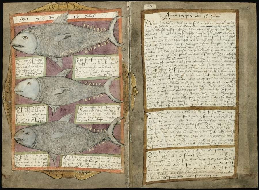Open page from an old manuscript with illustrations of fish and handwritten text.