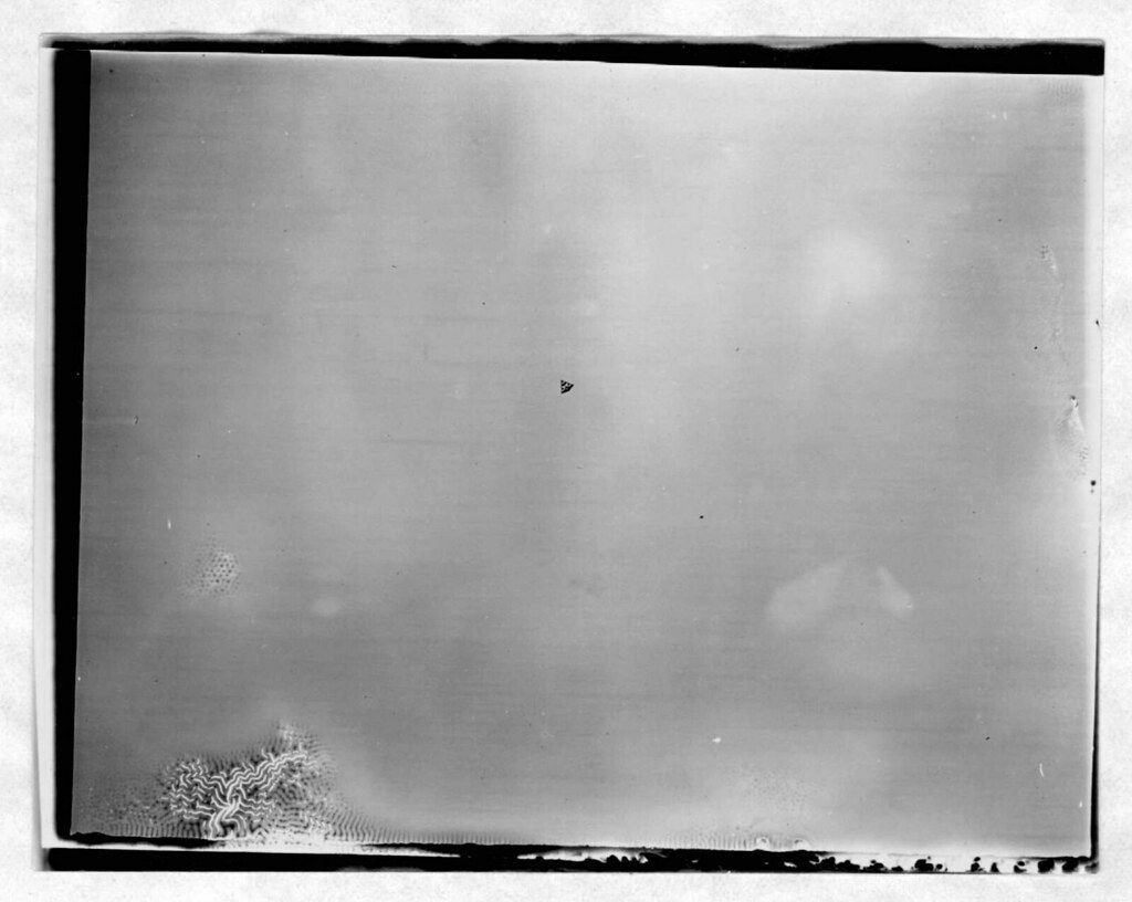 Black and white photograph of a small airplane flying in a bright sky, with a line of trees visible at the bottom of the frame.