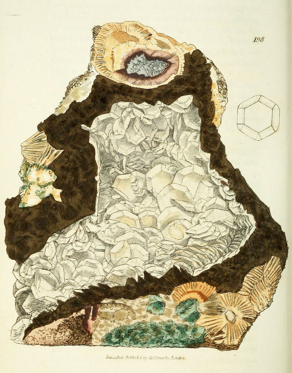 Vintage illustration of a mineral specimen with interlocking crystals, a cup-like hollow, and a rosette-like base.