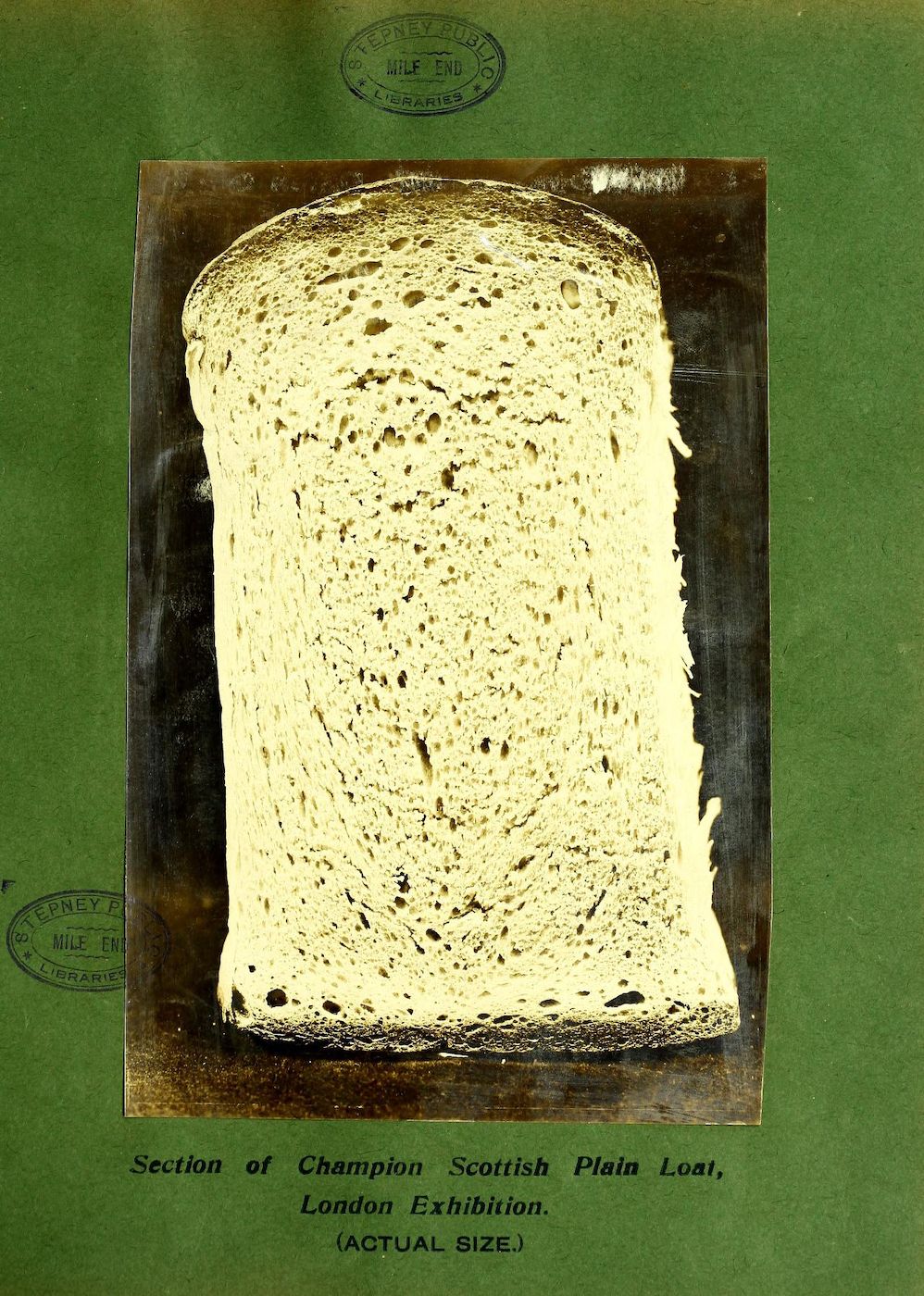 Vintage photograph of a slice of Scottish plain loaf from a London exhibition.