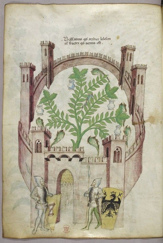 Medieval manuscript illumination of a castle with a tree growing inside, two knights in front, and Latin text above.