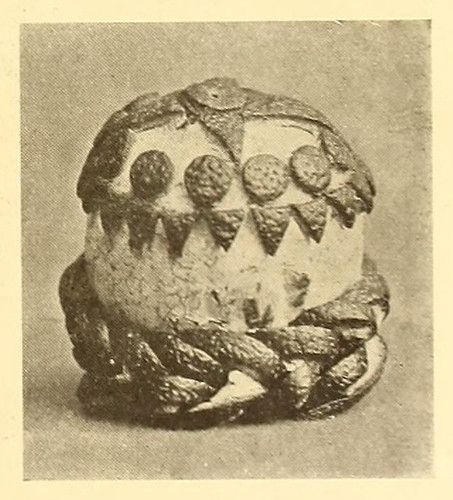 A black and white photograph of an animal skull with large, conical teeth.
