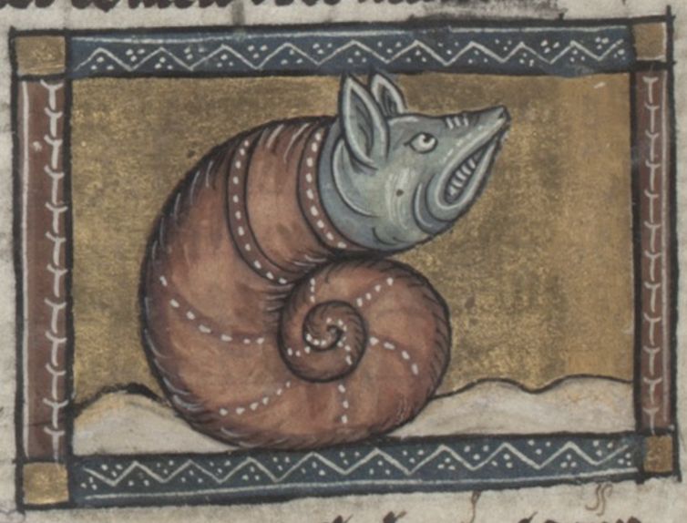 Medieval manuscript illustration of a coiled, reddish-brown snake-like creature with a reptilian head and a single eye.