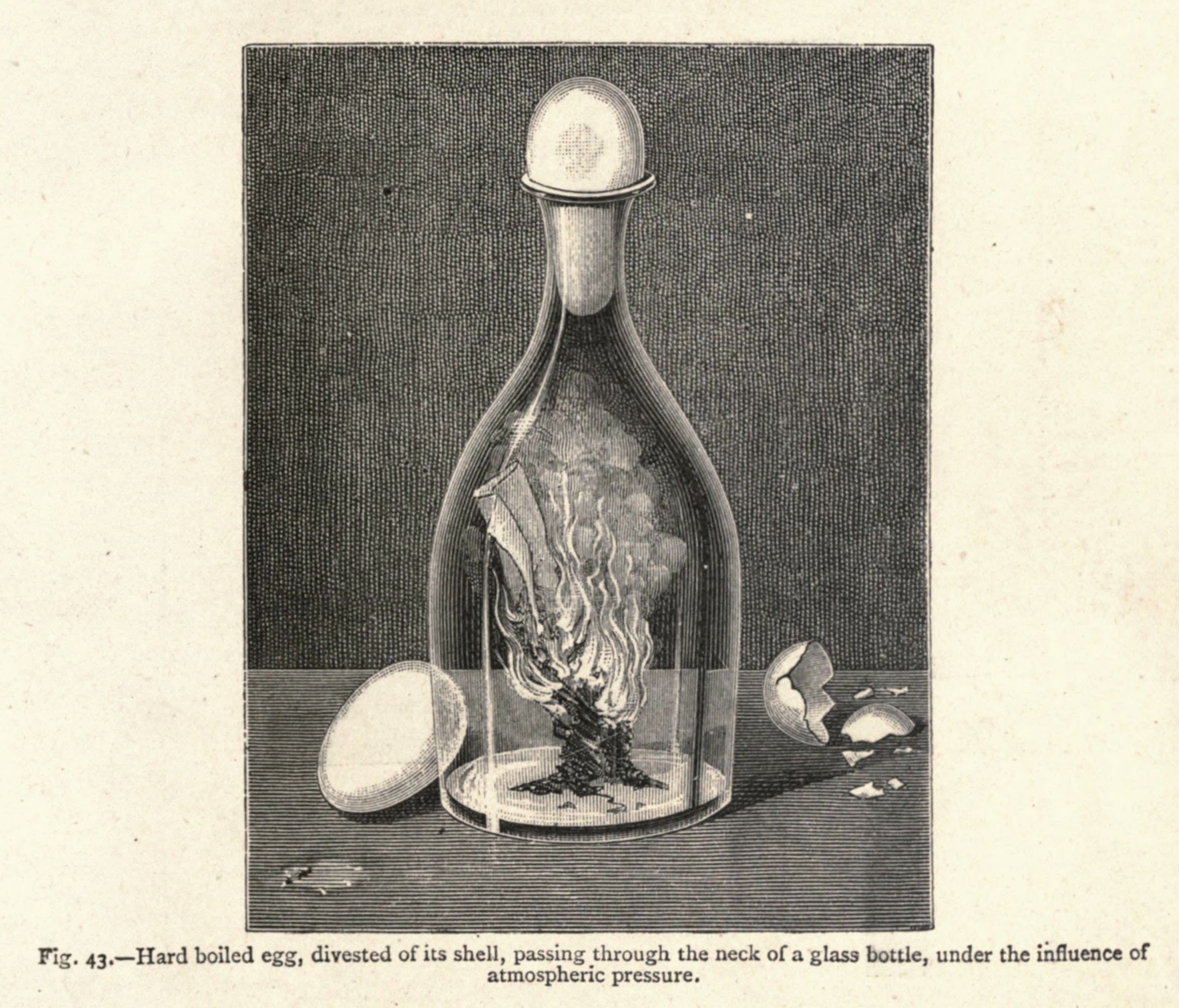 Vintage illustration of a hard-boiled egg being squeezed through the neck of a glass bottle, demonstrating atmospheric pressure.