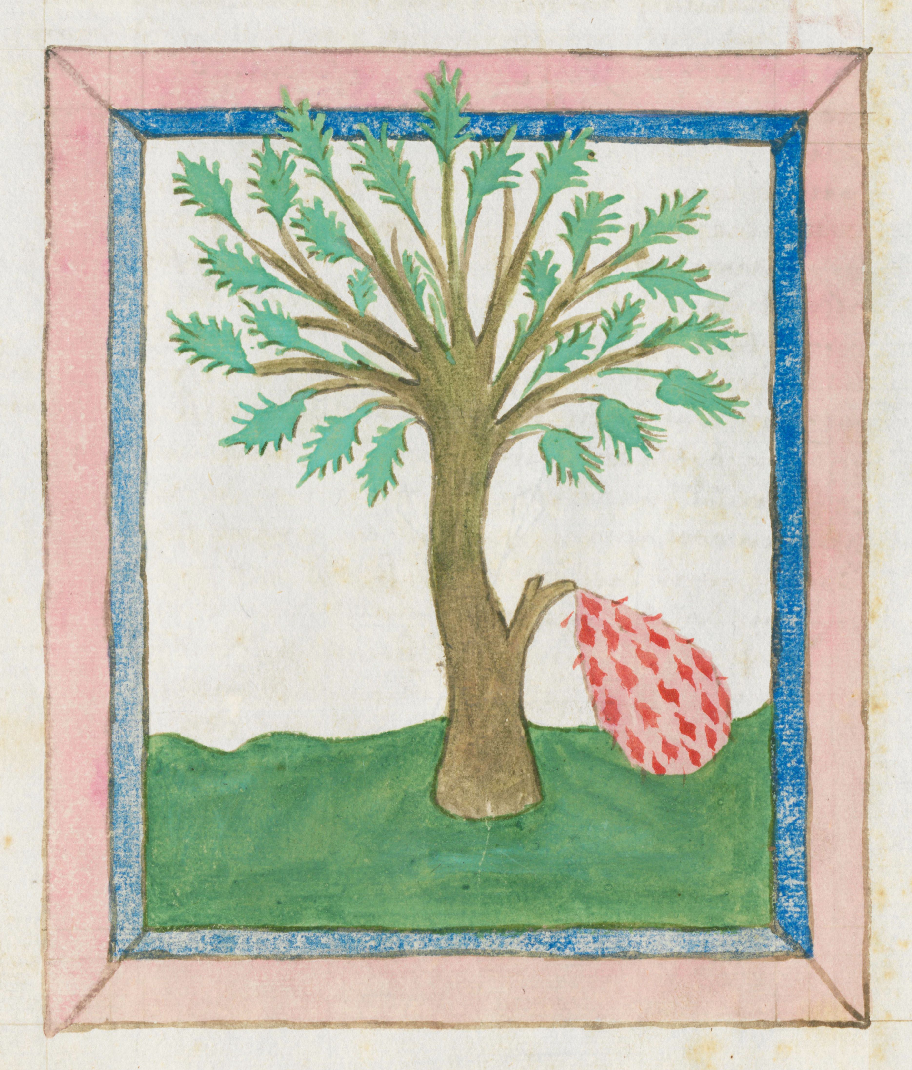 A medieval illustration of a tree with green leaves and a brown trunk, set on a green ground with a red rock to the right, all framed by a blue, pink, and darker pink border.