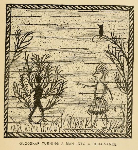 A black and white illustration depicting Glooskap turning a man into a cedar tree. A figure is transforming into a tree, while another figure with a feathered headdress stands nearby. A cat observes from above.