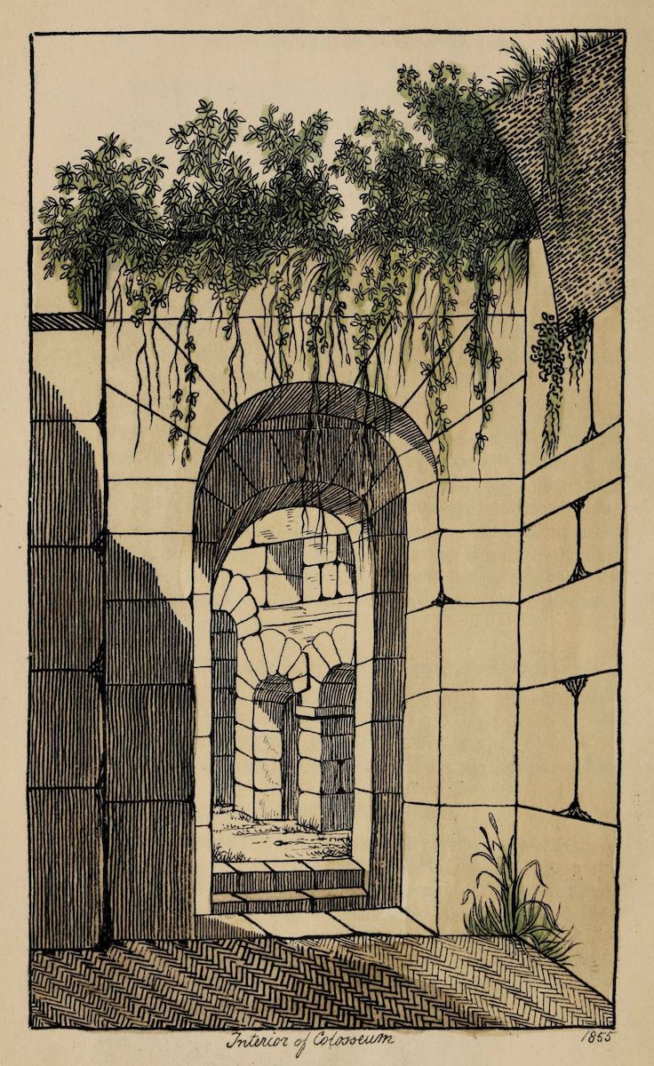 Black and white illustration of the interior of the Colosseum, showing stone arches and overgrown vegetation.