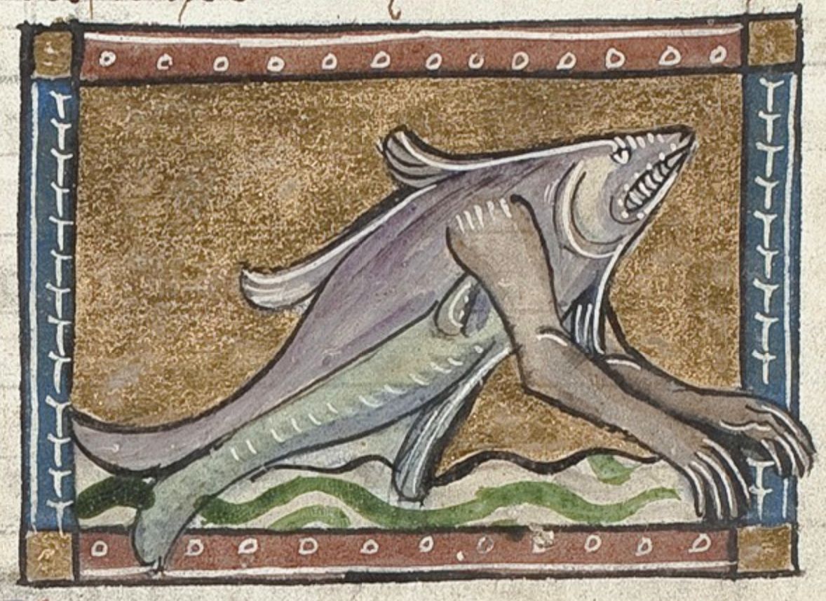 Medieval illustration of a purple fish-like creature with legs emerging from water, framed by a decorative border.