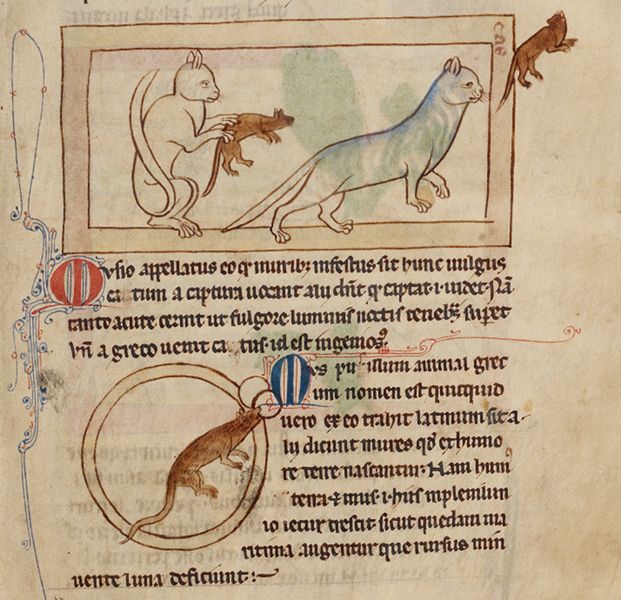 A page from a medieval manuscript with an illustration of three fantastical creatures and dense Latin text.