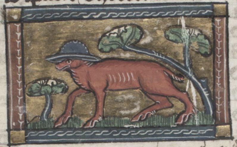 Medieval illustration of a reddish-brown animal walking through a landscape with sparse vegetation, framed by a decorative border.