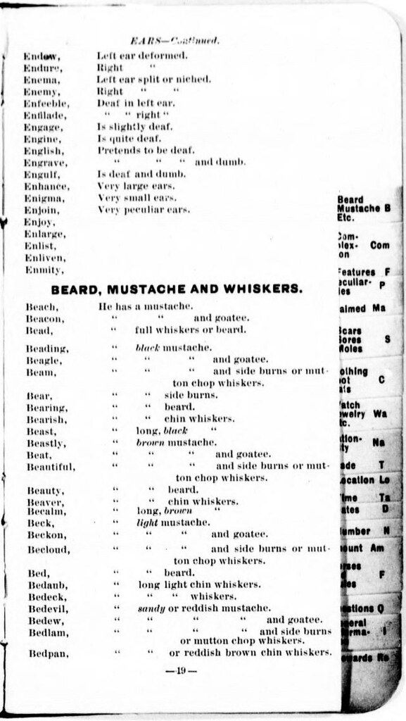 A vintage page from a dictionary or reference book listing terms related to facial hair.