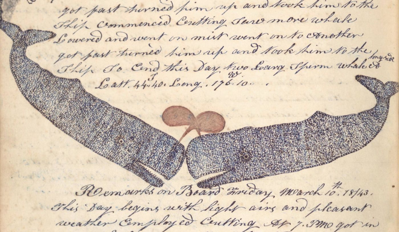 Vintage illustration of two whales facing each other, surrounded by handwritten text on aged paper.