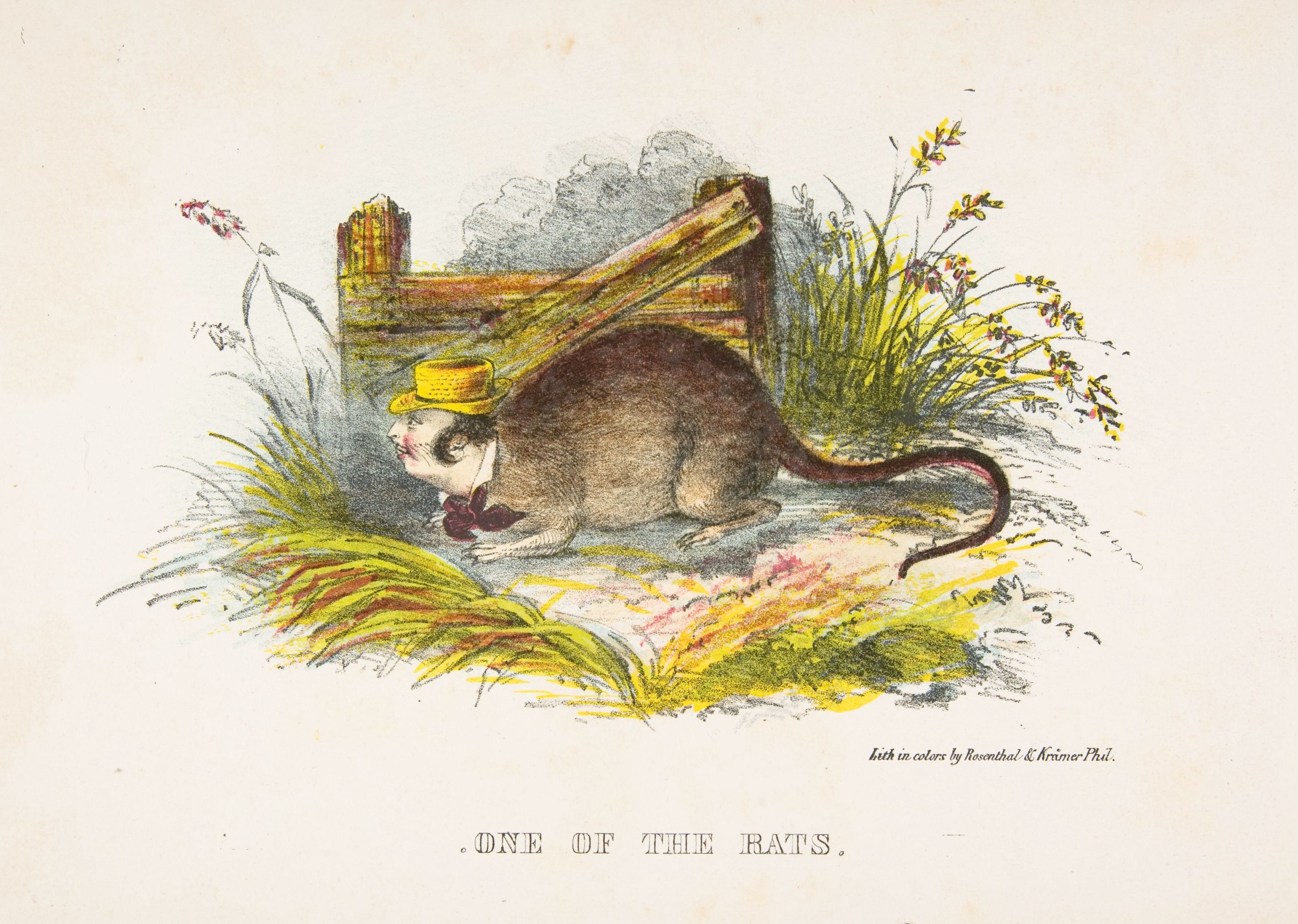Vintage illustration of a rat wearing a top hat peeking out from under a bucket in a field of tall grass.
