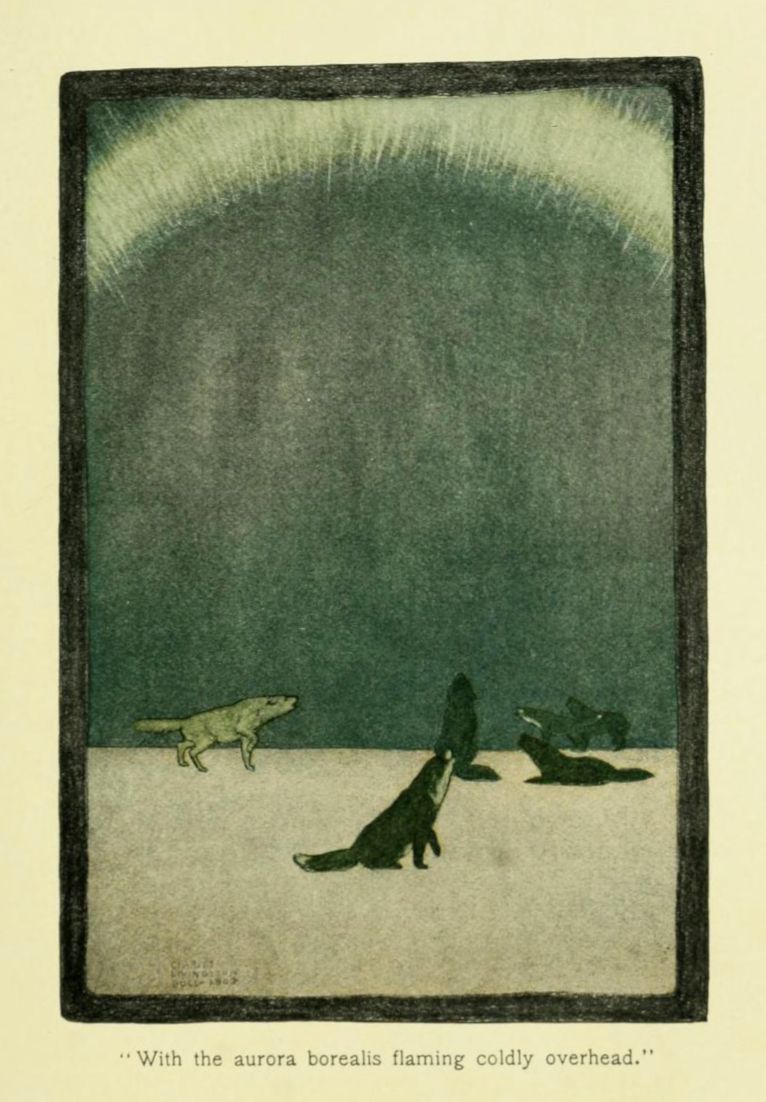 Vintage illustration of three foxes under the aurora borealis, with a caption below.