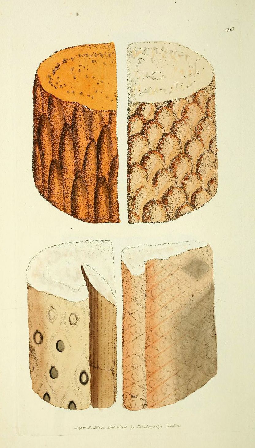 Vintage illustration of four different types of cheese, each shown as a cross-section with varying textures and hole patterns.
