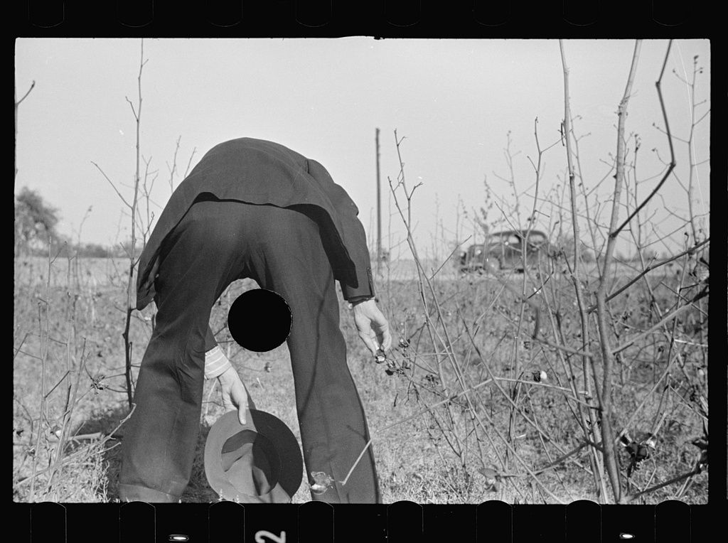 A black and white photograph of a person bent over in a field, with dry bushes and a vehicle in the background.