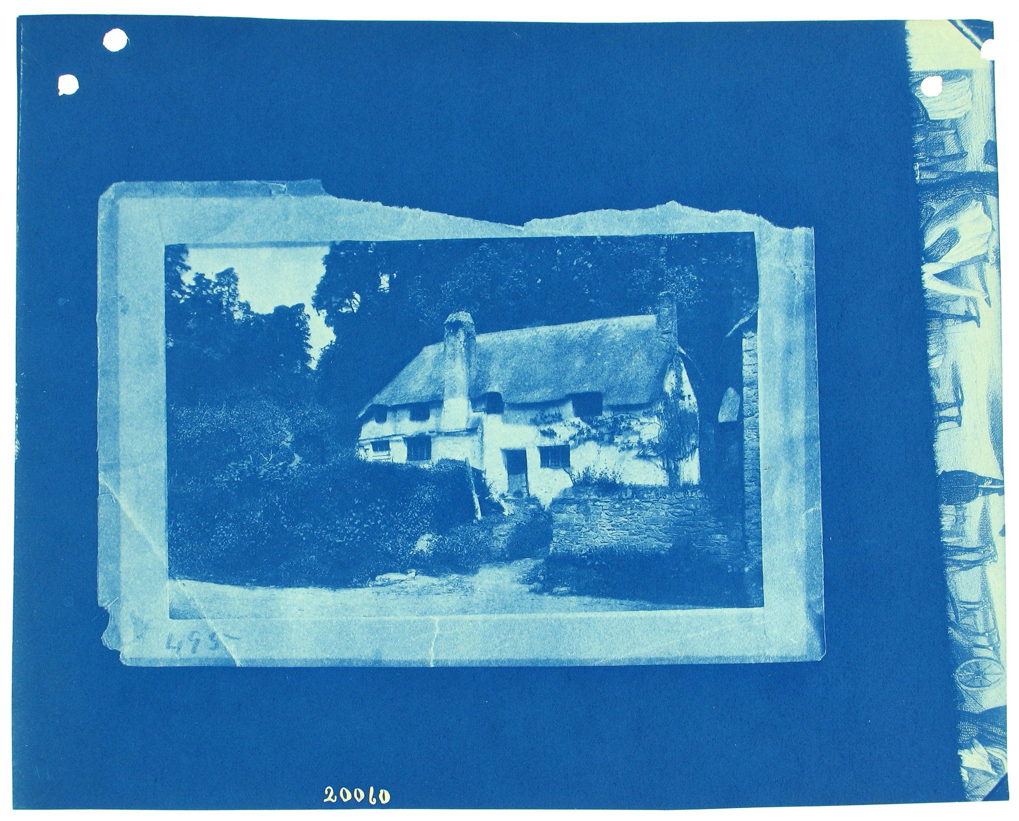 A cyanotype photograph of a quaint cottage nestled amidst lush greenery.
